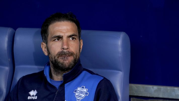 COMO, ITALY - MAY 10: Cesc Fabregas of Como Calcio looks during the match beteween Como Calcio and Cosenza Calcio serie B at Stadio G. Sinigaglia on May 10, 2024 in Como, Italy. (Photo by Pier Marco Tacca/Getty Images) Como Fàbregas