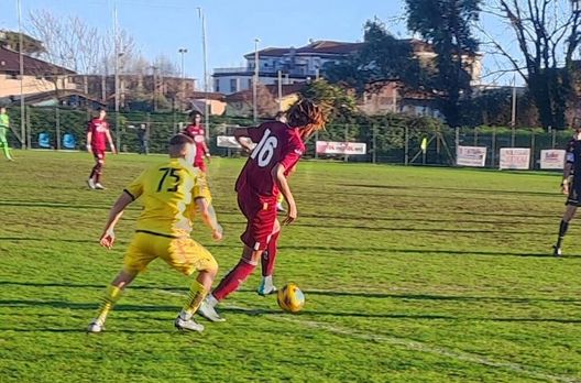 Viareggio Cup, Torino verso la seconda uscita: domani sfida all’Uyss New York- immagine 2