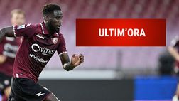 Serie A, Salernitana / Ultim’ora: ecco la decisione su Boulaye Dia