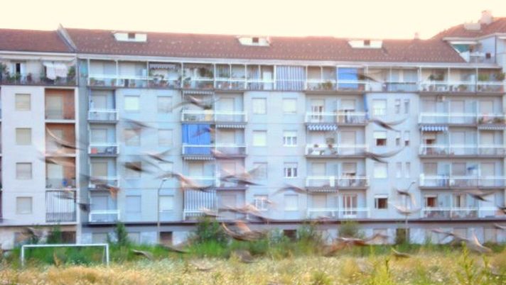 18/7/1997-18/7/2009: 12 anni di menzogna e di vergogna 18/7/1997-18/7/2009: 12 anni di menzogna e di vergogna - immagine 1