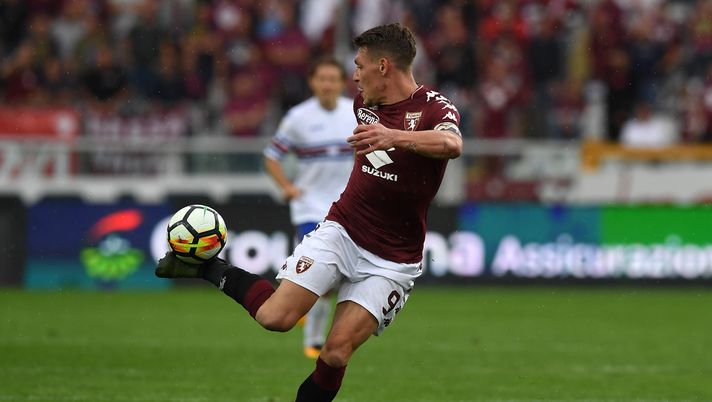 Toro, Belotti punta il Verona: 10 gol nelle ultime 10 in casa per il Gallo - immagine 1