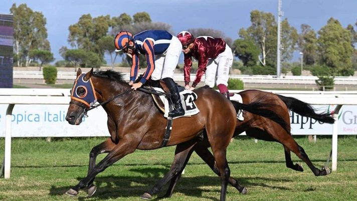 Sconfitto in volata Mr. Darcy: secondo posto per il cavallo di Allegri