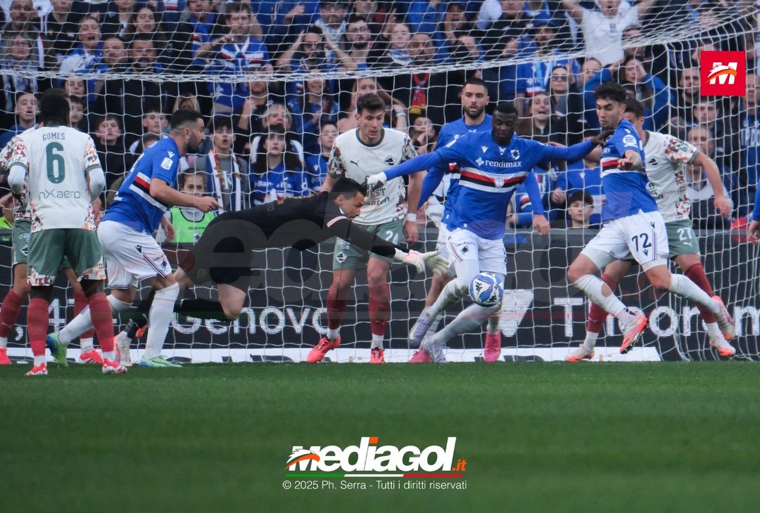 FOTO Sampdoria – Palermo | Serie B 2024 - immagine 7