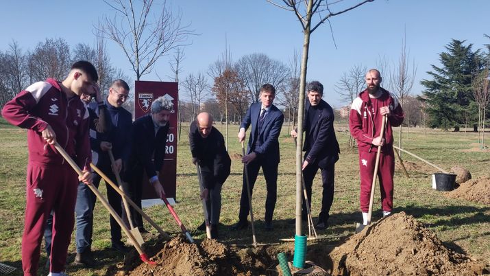 Il bosco del Toro, presentata l’iniziativa verde al Robaldo - immagine 1