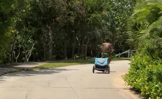 Lautaro, allenamenti all’alba e non solo: il capitano si prepara al record. E con Thuram…- immagine 2