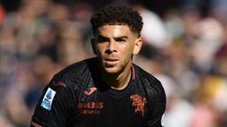 La probabile formazione del Torino: Zapata, Adams e la scelta fra Israel e Paleari: