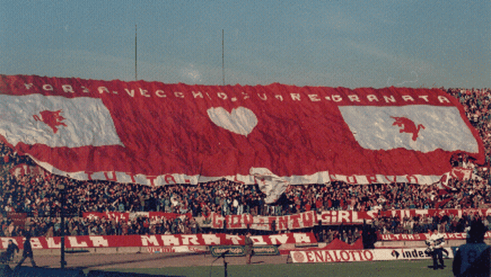 Il Toro siamo noi? - immagine 1