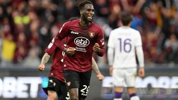 Dia, da possibile acquisto ad avversario: quando vede viola fa gol