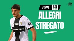 Calciomercato Milan, Allegri stregato da Leoni! Ecco la strategia di Tare