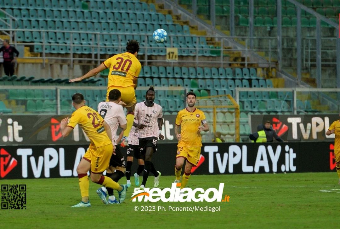 FOTO Palermo-Cittadella 0-1, 13ª giornata Serie B 2023-2024 (GALLERY) - immagine 5