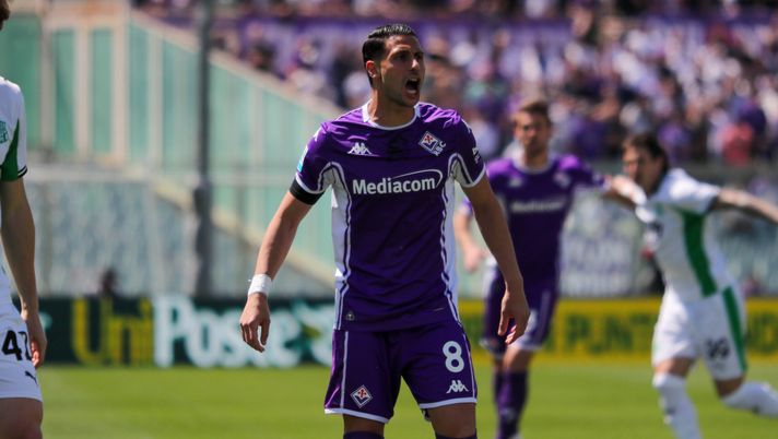 GERMOGLI PH: 26 APRILE 2026 FIRENZE STADIO ARTEMIO FRANCHI SERIE A FIORENTINA VS SASSUOLO NELLA FOTO MANDRAGORA Mandragora