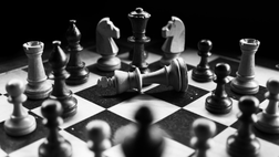 La strategia bolognese: quando rischiare paga davvero