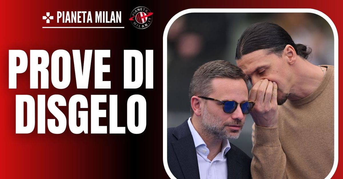 Milan, prove di disgelo Ibrahimovic Furlani: interviene Cardinale! Sul DS …