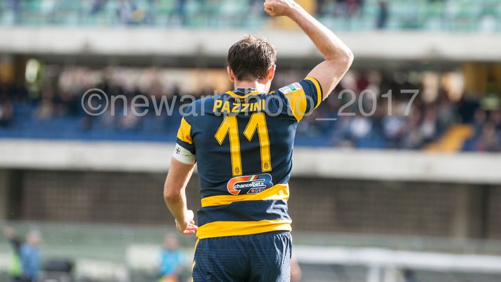 Pagelle Verona, Zuculini è un gigante, Luppi big, Pazzo micidiale Pagelle Verona, Zuculini è un gigante, Luppi big, Pazzo micidiale - immagine 1