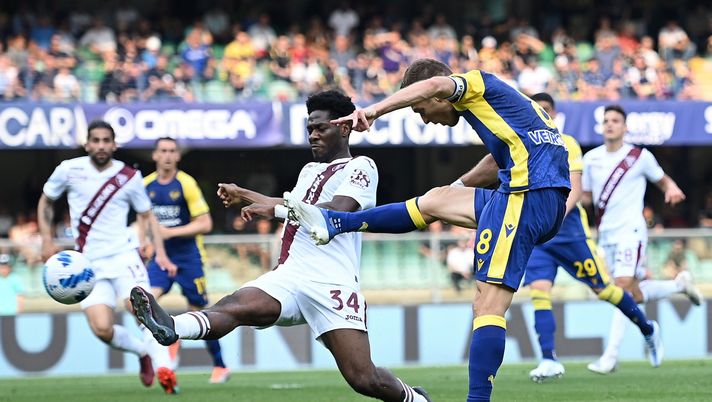 Verso Torino-Verona: probabili formazioni e ultime news sulla sfida - immagine 1