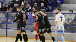 Il Vinumitaly Petrarca travolge Manfredonia 8-4, terza vittoria stagionale per i padovani