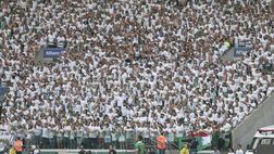 Il San Paolo denuncia l’omofobia dei tifosi Palmeiras durante il derby: “Un altro frocio morto”