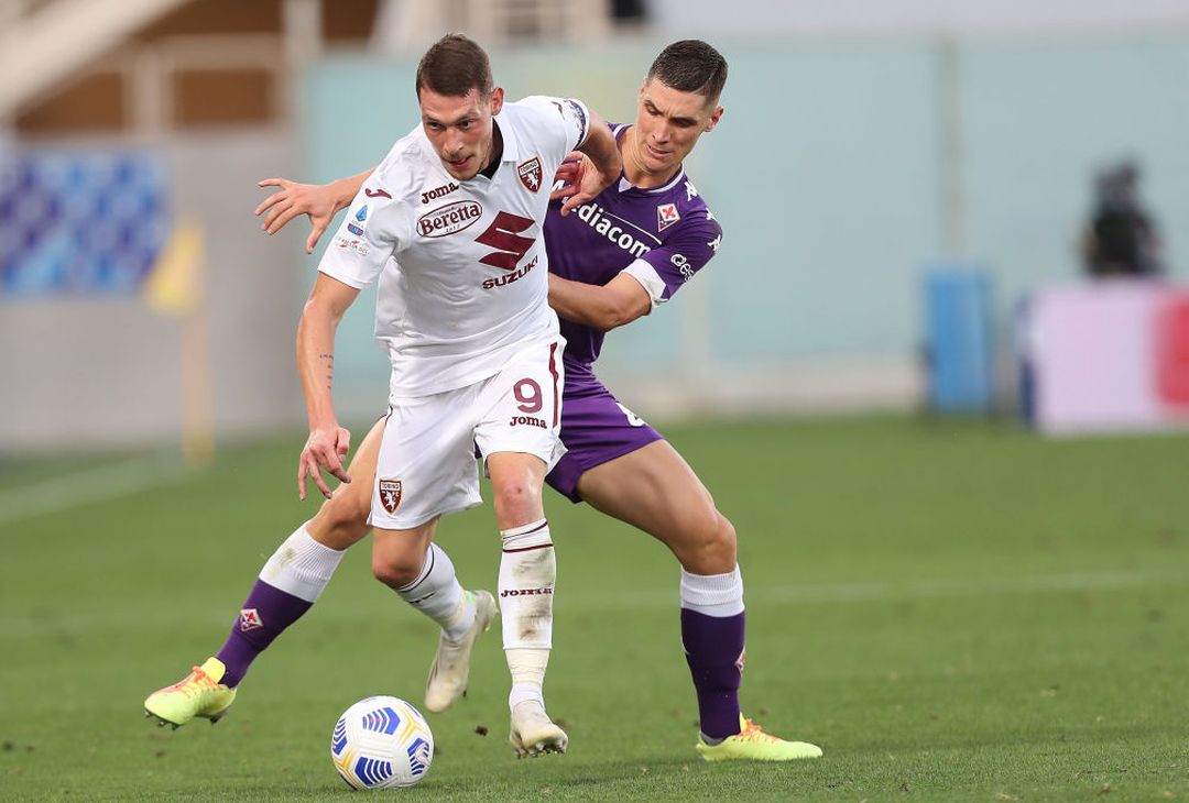 Fotogallery – Fiorentina-Torino 1-0: le immagini del match - immagine 28