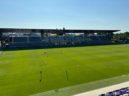 L’esperto: “Il nuovo stadio per la Fiorentina sarebbe stato un punto di svolta”- immagine 2