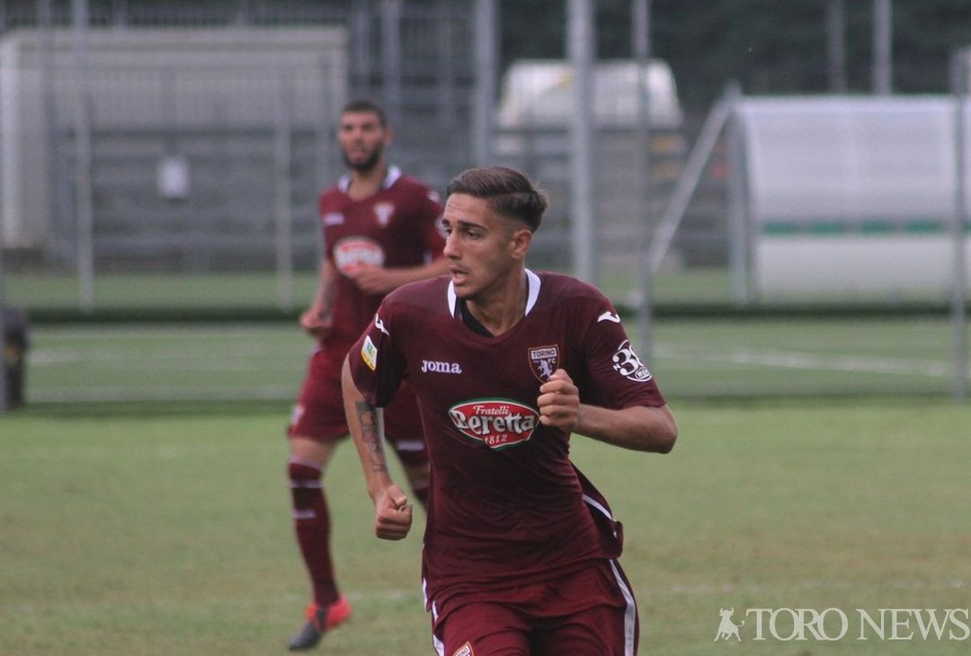 Larotonda Torino Primavera