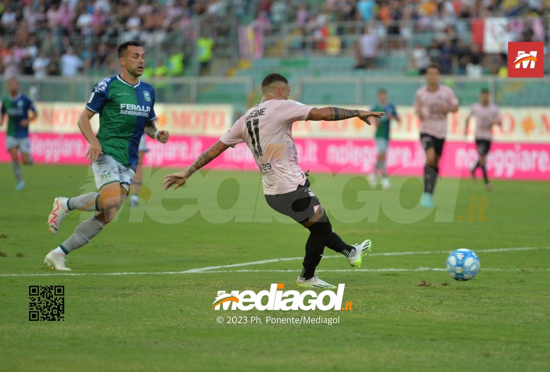 FOTO Palermo-Feralpisalò 3-0, 4ª giornata Serie B 2023-2024 (GALLERY) - immagine 32