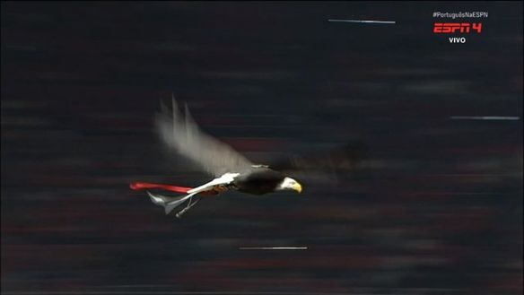 L’Aquila sbaglia punto di atterraggio: ma, clamoroso, il Benfica ha vinto lo stesso il derby!- immagine 2