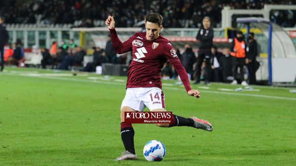 ToroPreview, verso Salernitana-Torino: “Giusto andare avanti con Berisha?”- immagine 2