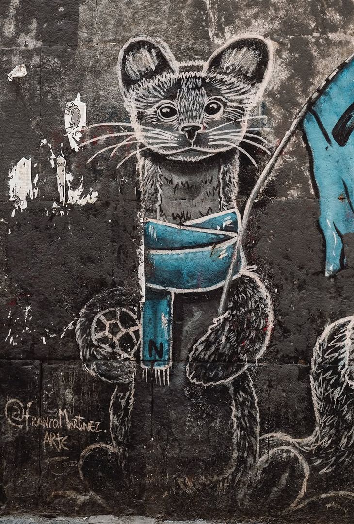 Il Napoli ha pubblicato gli scatti più belli in città ad un mese dalla vittoria dello scudetto