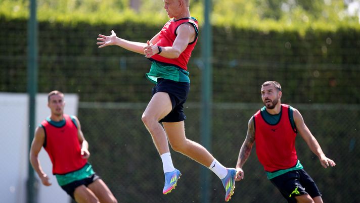 Marusic, Provstgaard e Gila