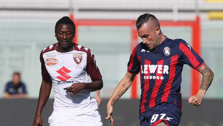 Macelleria calcio - immagine 1