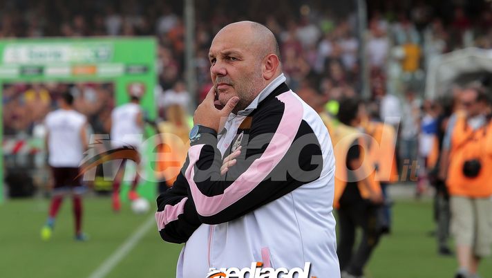 Palermo, senti Tedino: “Desplanches sposta gli equilibri, da prendere al volo” Palermo