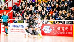 Vinumitaly Petrarca-Feldi Eboli 0-3, highlights e interviste