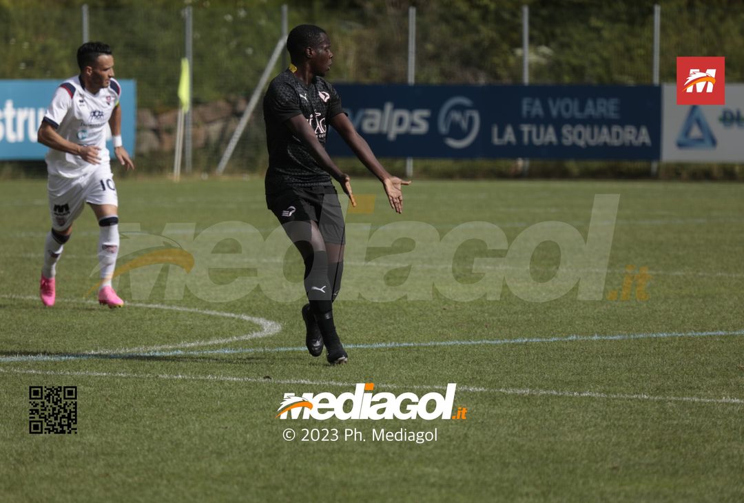 FOTO Palermo-Virtus Verona 0-1 (Gallery) - immagine 31