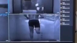 VIDEO – Il recupero di Mandragora dopo l’operazione prosegue… sott’acqua