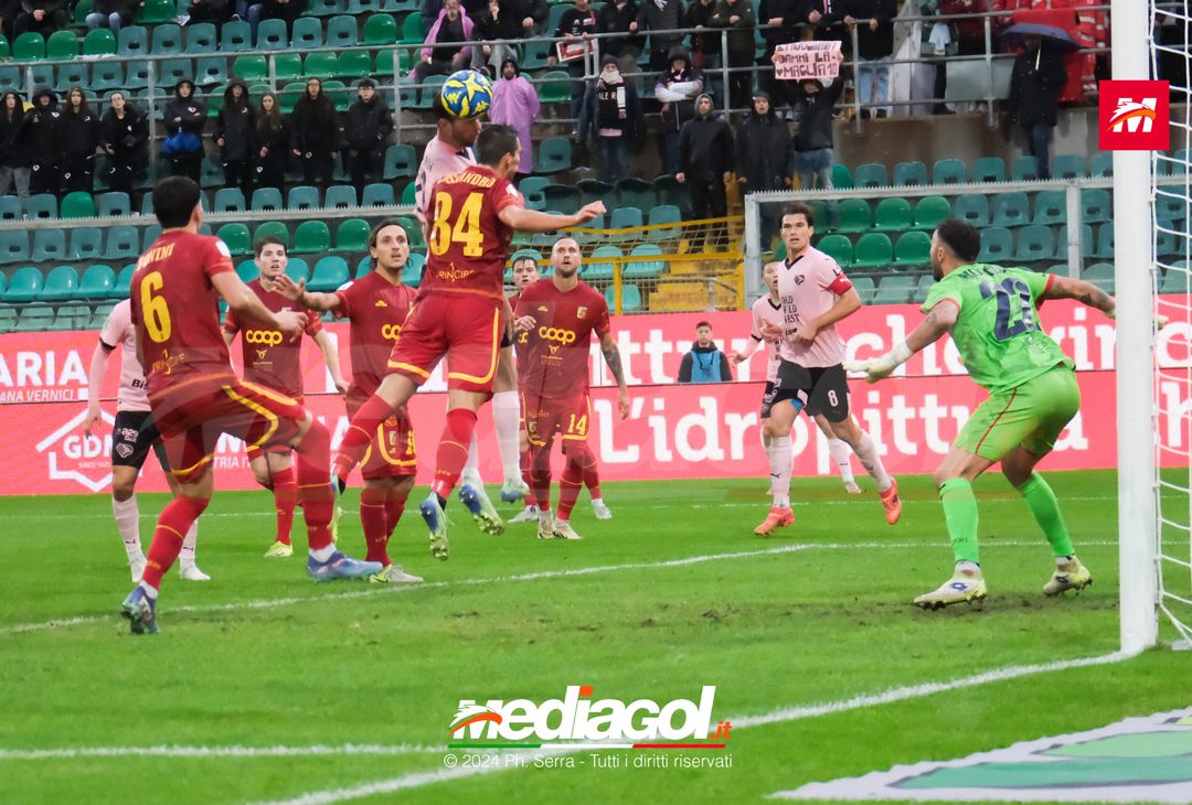 FOTO Palermo – Catanzaro 1-2 Serie B 2024-25 - immagine 21