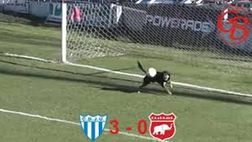 Cane portiere in Argentina, incredibile ma vero