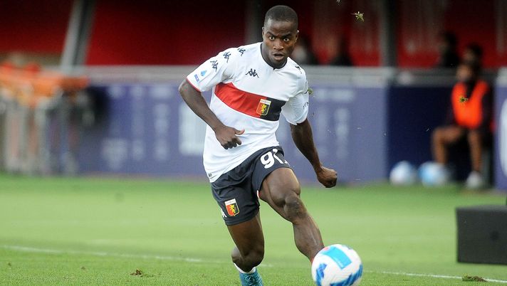 Getty Images Verona, per la trequarti Kallon resta un obbiettivo - immagine 1