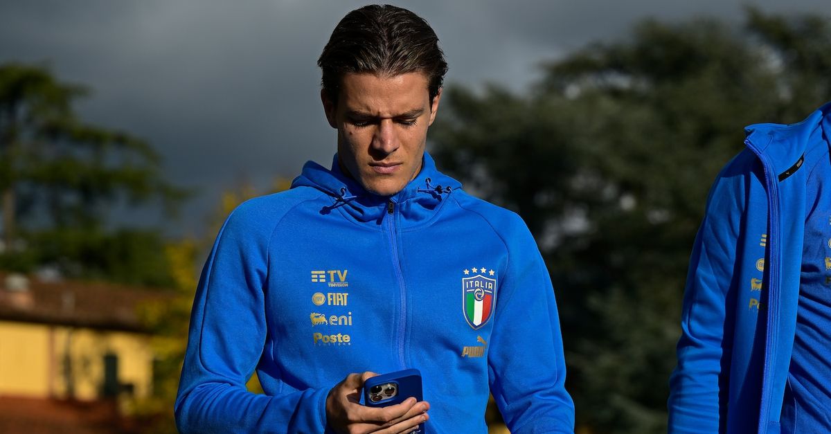 FORNITORE APPROVATO 1.1COPERCHIO BLU Coperchio Ribaltabile Per Camion - Foto 2