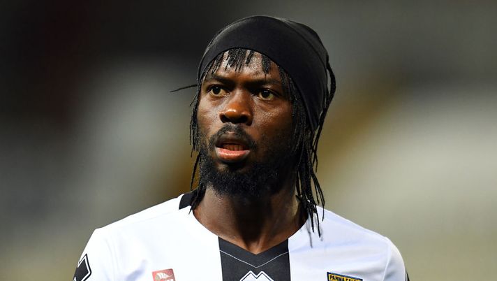 Parma, allenamento in vista del Toro: D’Aversa ritrova Gervinho - immagine 1