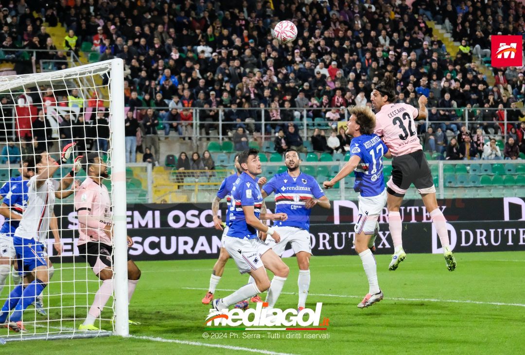FOTO Palermo – Sampdoria Serie B 2024/25 - immagine 6