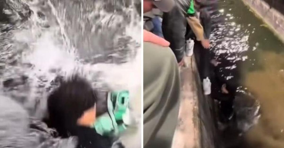 Sassuolo in Serie A: un tifoso in festa precipita nel fossato | VIDEO Sassuolo in Serie A: un tifoso in festa precipita nel fossato | VIDEO