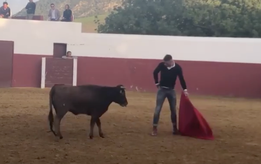 L'ex Betis e Fiorentina Joaquín si sta allenando per fare il suo debutto da torero. Foto da Aplausos.es