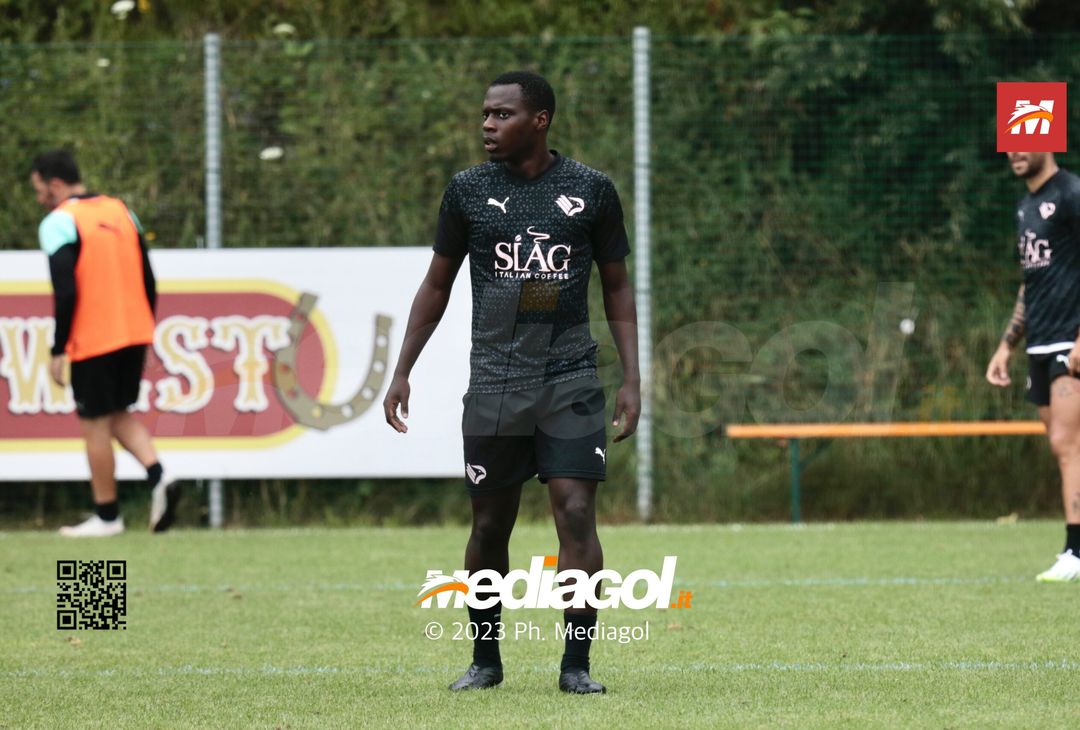 FOTO Ritiro Palermo, day 13 a Ronzone: gli scatti della seduta mattutina (Gallery) - immagine 17