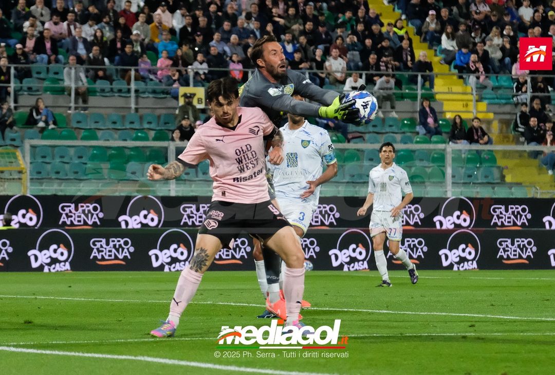 FOTO Palermo – Carrarese | Serie B 2024/25 - immagine 19