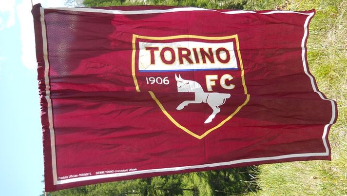 Ma che me frega del Toro?!? - immagine 1