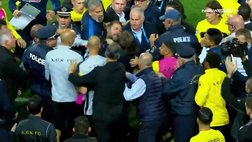 AEK Atene, Almeyda tenta di strangolare un addetto alla sicurezza | VIDEO