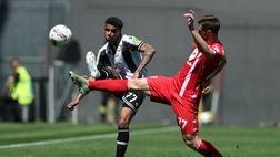 Notizie Udinese – Zanoli in arrivo! Rui Modesto in partenza? Le ultime