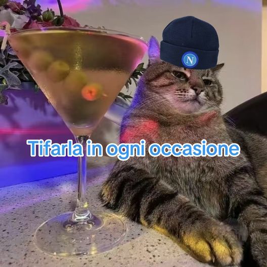 FOTO Il divertente scatto del gatto che tifa Napoli in ogni occasione- immagine 2