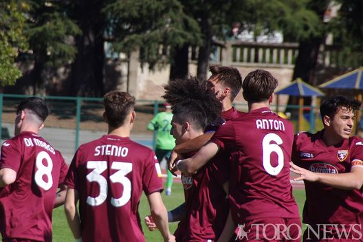 Primavera, Torino-Verona 2-1: successo granata per puntare i playoff- immagine 2