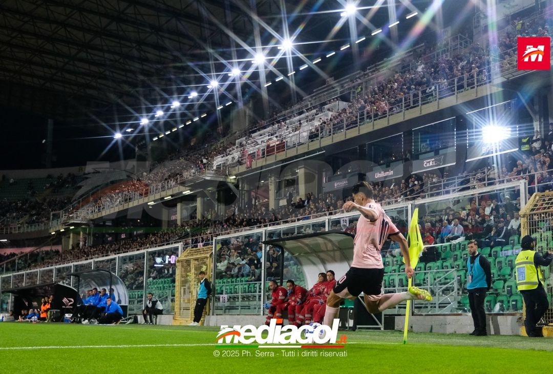 FOTO Palermo – Carrarese | Serie B 2024/25 - immagine 11